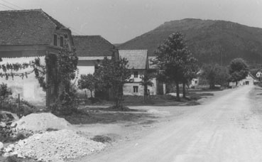 eika image